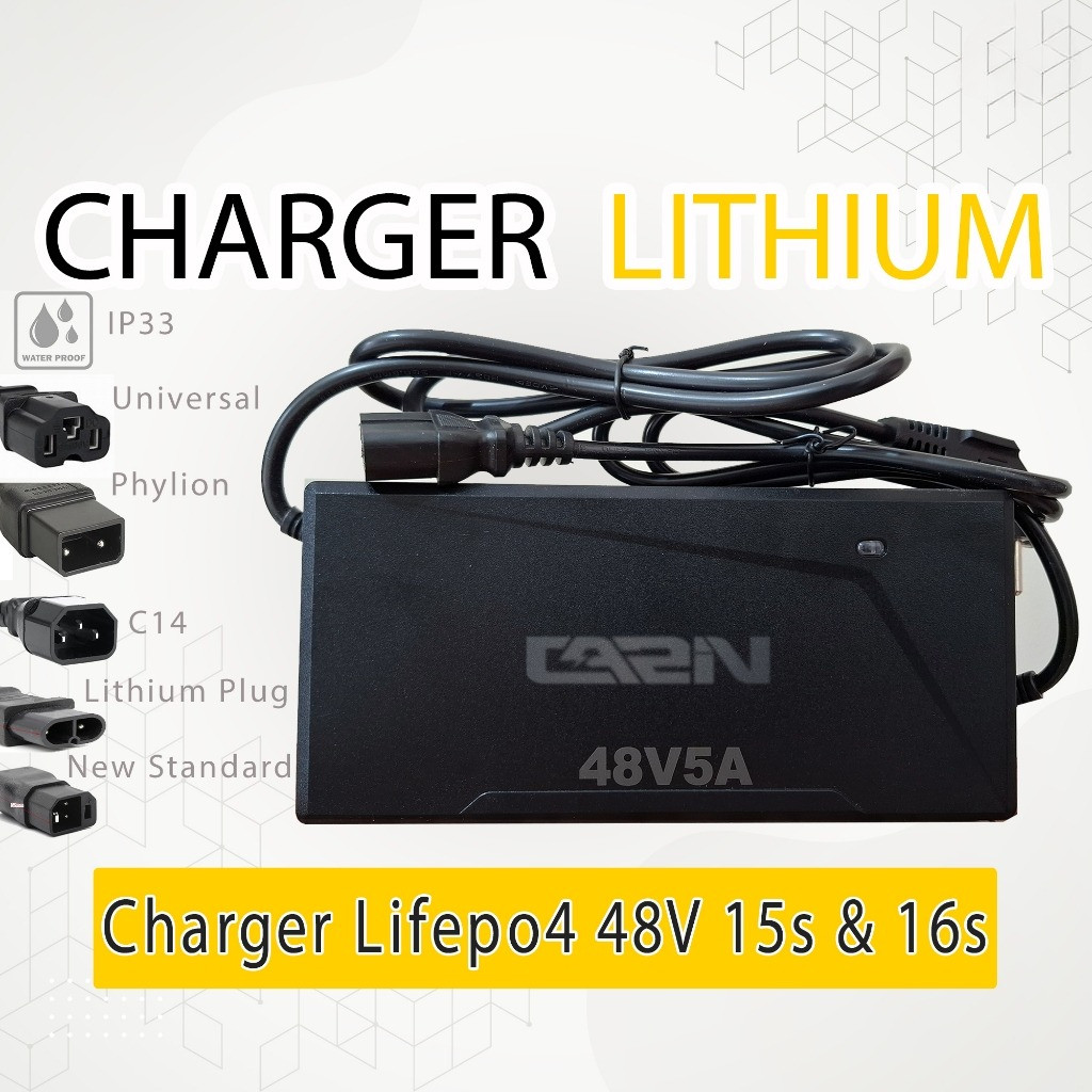 Charger Lifepo4 48V