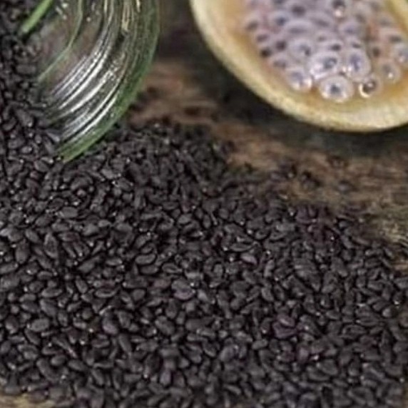 

biji selasih 1kg/ baslia seed