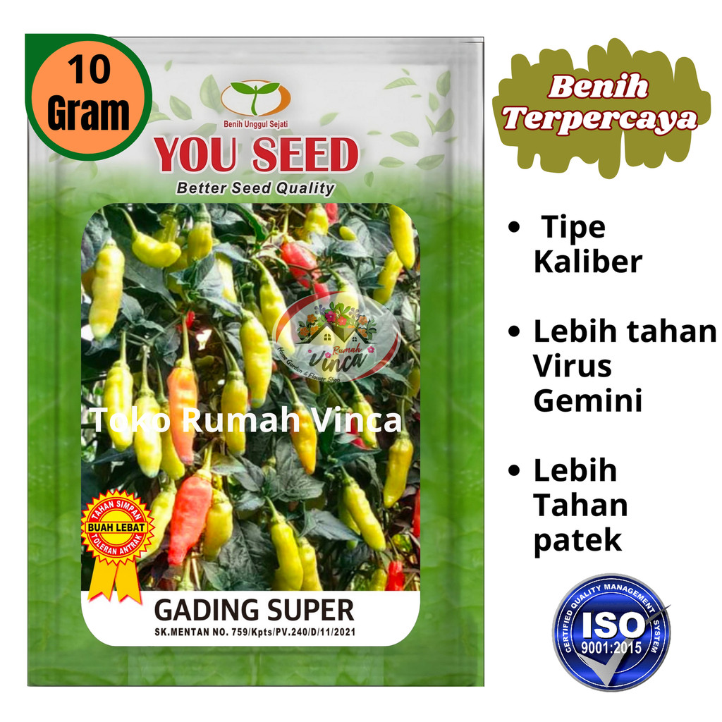 Cabe Rawit Setan tipe Kaliber GADING SUPER 10 gram Cap You Seed Upgrade Tahan Virus