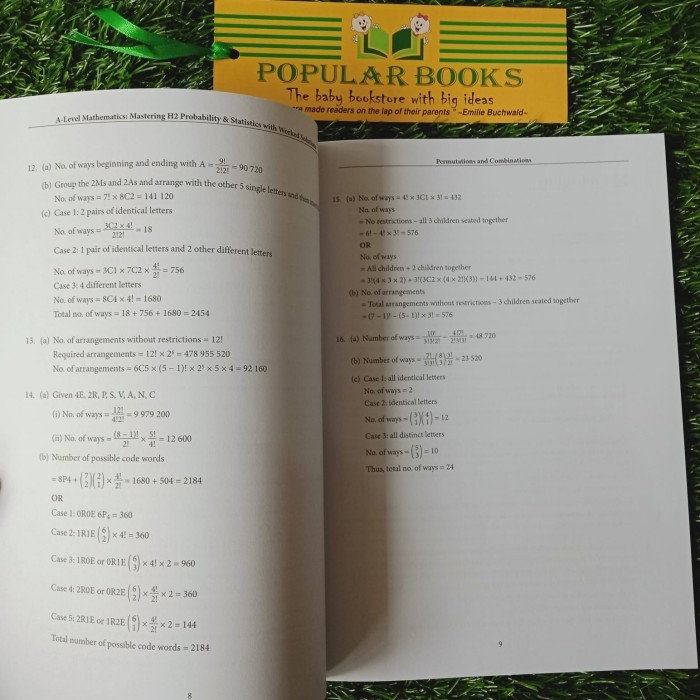 

A Level Mathematics - Mastering H2 Probability & Statistics