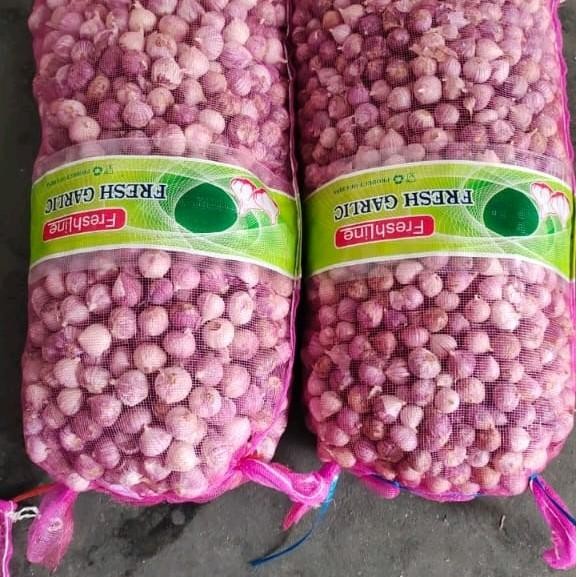 

Promo Bawang Putih Tunggal / Bawang Lanang Bahan Untuk Black Garlic - kecil, 250grm terlaris