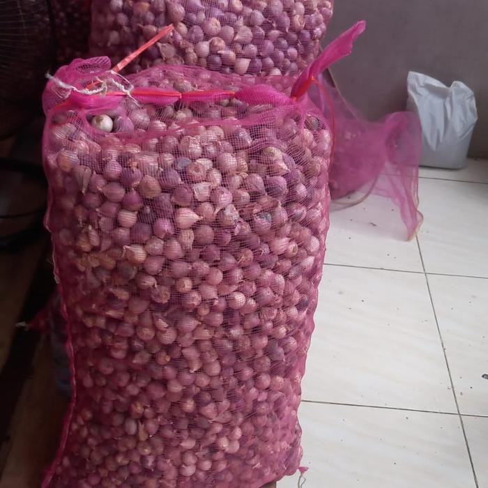 

Promo 1kg [ukuran KECIL 1cm -1,8cm] Bawang Putih Tunggal MENTAH untuk Madu Bawang terlaris