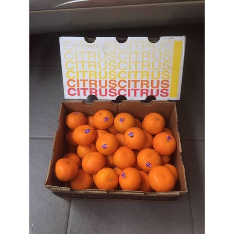 

JERUK HONEY MURCOT MANDARIN FRESH PERDUS 2PH (9KG)