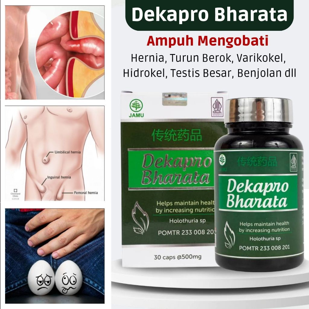 Dekapro Bharata Obat Hernia Ampuh Obat Turun Berok Varikokel Pria Wanita - Asli Original