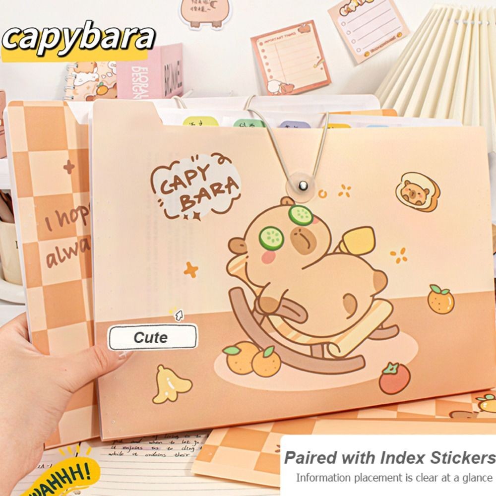 

A4 8/12 Pockets File Folder Test Paper Storage Folder Waterproof File Organizer Classified Large Capacity Portfolio Organizer