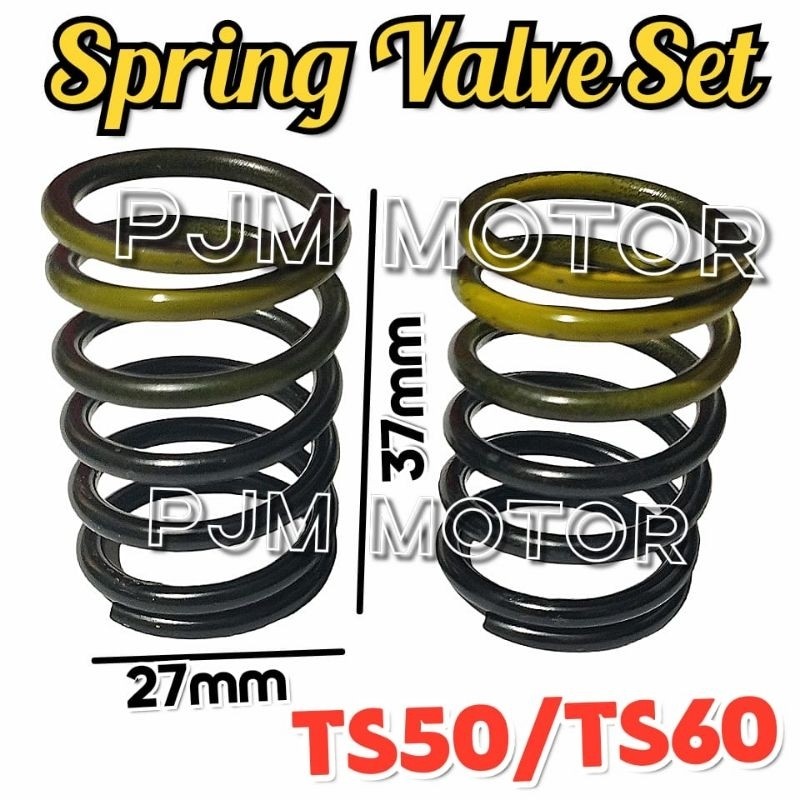 

TS50 Spring Valve Per Klep Mesin Diesel Pengerak Yanmar Ts60 amplas