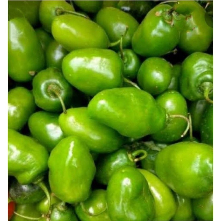 Terlaris viral Cabe Gendot Bandung Segar Super Pedas 500gr