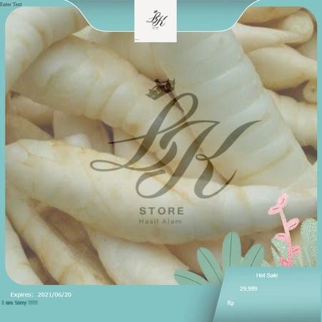

umbi garut segar/ frest per 1 kg LK Store