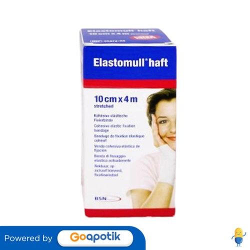 Elastomull Haft 10 Cm X 4 M