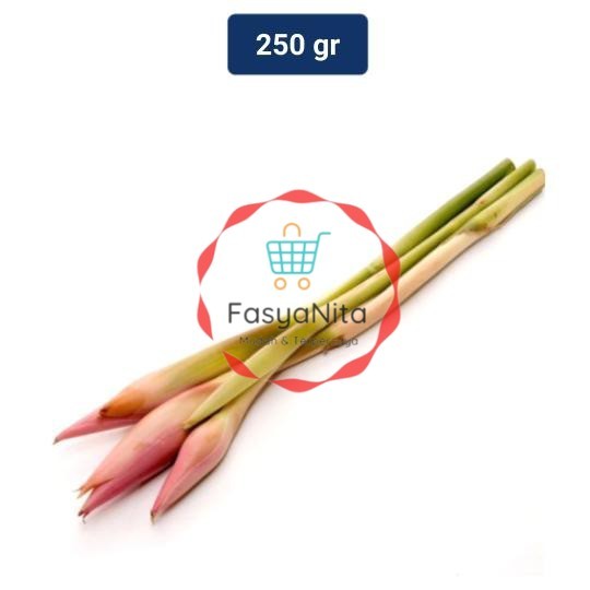 

Kecombrang Organik 250 gr - Fasyanita Denpasar