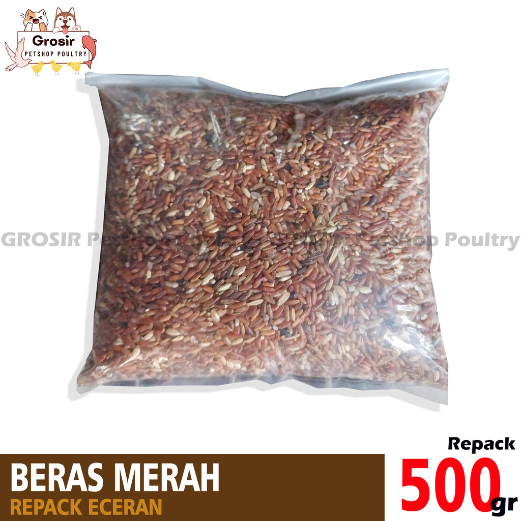 PAKAN MAKANAN BURUNG AYAM BANGKOK BERAS MERAH 500 GRAM