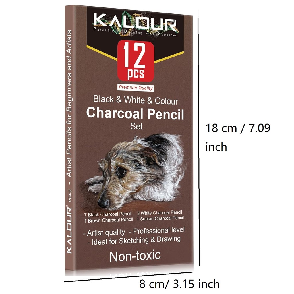 

KALOUR Professional Colored Charcoal Pencils Drawing Set,12 Pieces Pastel Chalk Pencils for Sketching, Shading, Blending, Portr