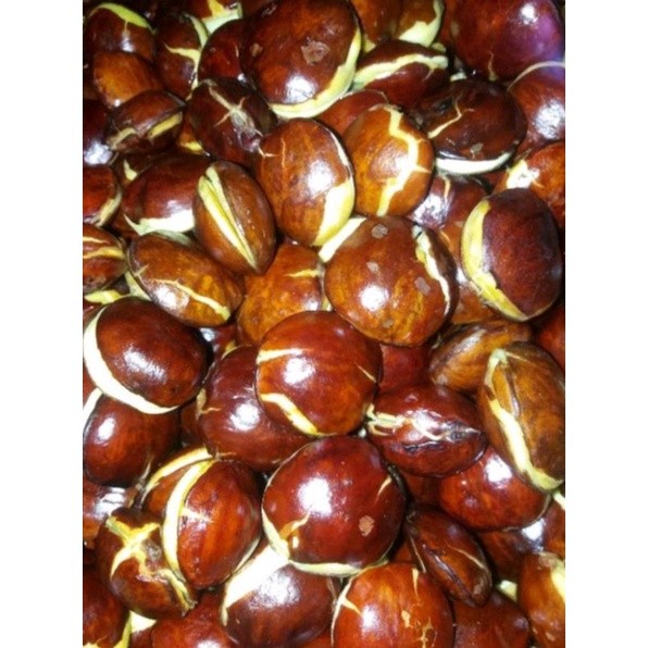 

jengkol tua per 500gram sudah di kupas/fress