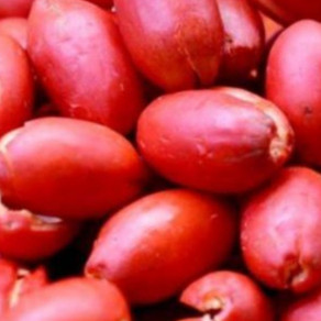 

KULIT MELINJO MLINJO MENTAH 250 gram