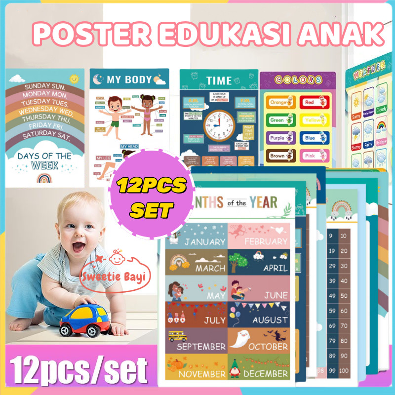 12Pcs Poster Edukasi Anak Belajar Mengenal Gambar Hewan Binatang Buah Sayur Angka Huruf Murah Paperkita