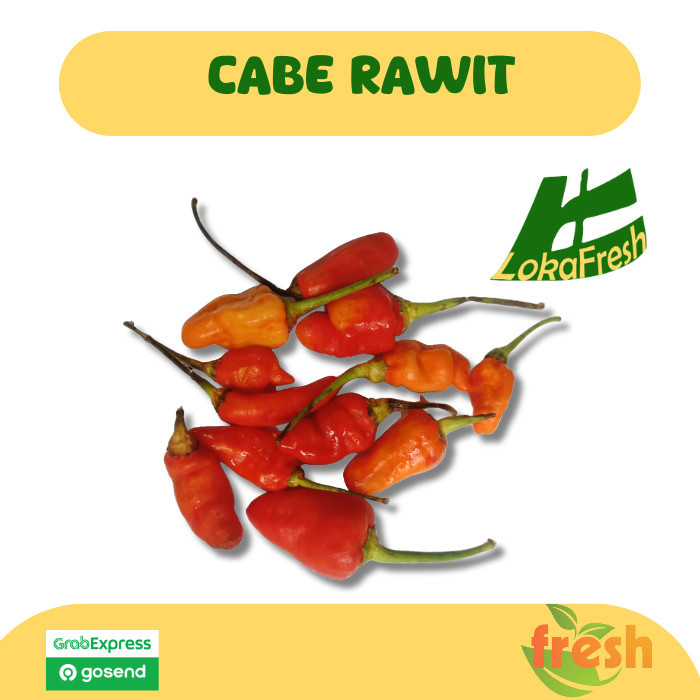 

Cabai Rawit Merah/ Chili Small Hot