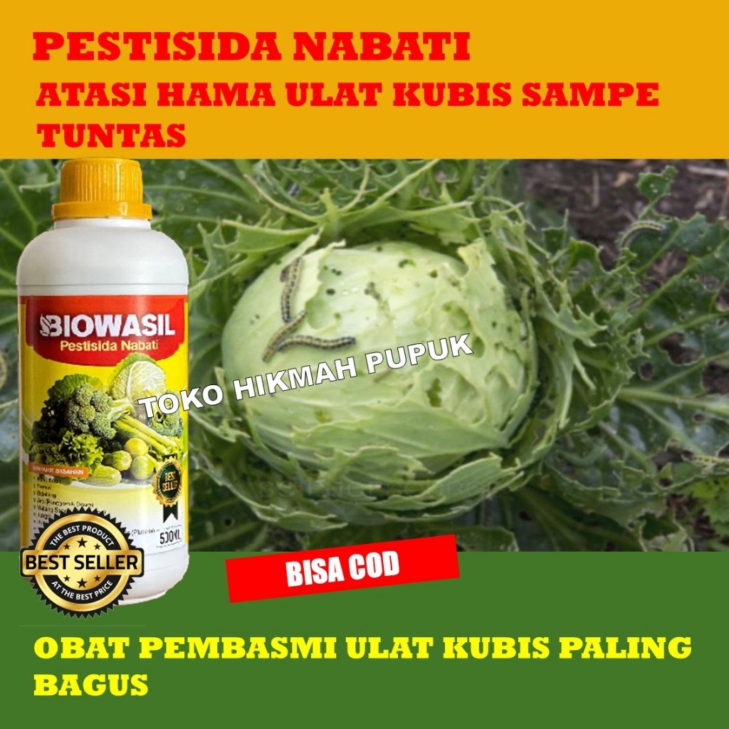 OBAT ULAT KUBIS PALING AMPUH BIOWASIL PESTISIDA NABATI 500 ML - OBAT ULAT KUBIS ALAMI TERBAIK - PUPU