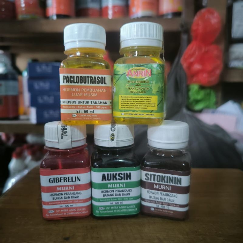 Hormon Giberlin auxin Sitokinin Paklobutrazole murni 60 ml perangsang bunga dan pembesar buah