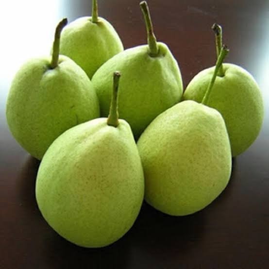 

Jonsmart Pir Xianglie / Pear Xiang Lie Fresh Manis 1kg(Isi 6-7buah) [KHUSUS INSTAN DAN SAMEDAY]