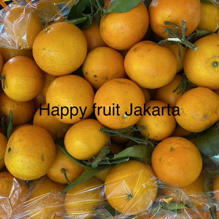 

Buah jeruk wokam baby sweet | jeruk wokam manis baby 1 kg