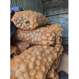 

kentang segar wonosobo 500gr