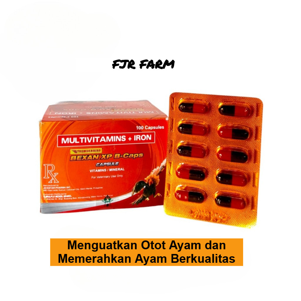 BEXAN XP KAPSUL (1 STRIP) - Multivitamin Obat Ayam Berkualitas
