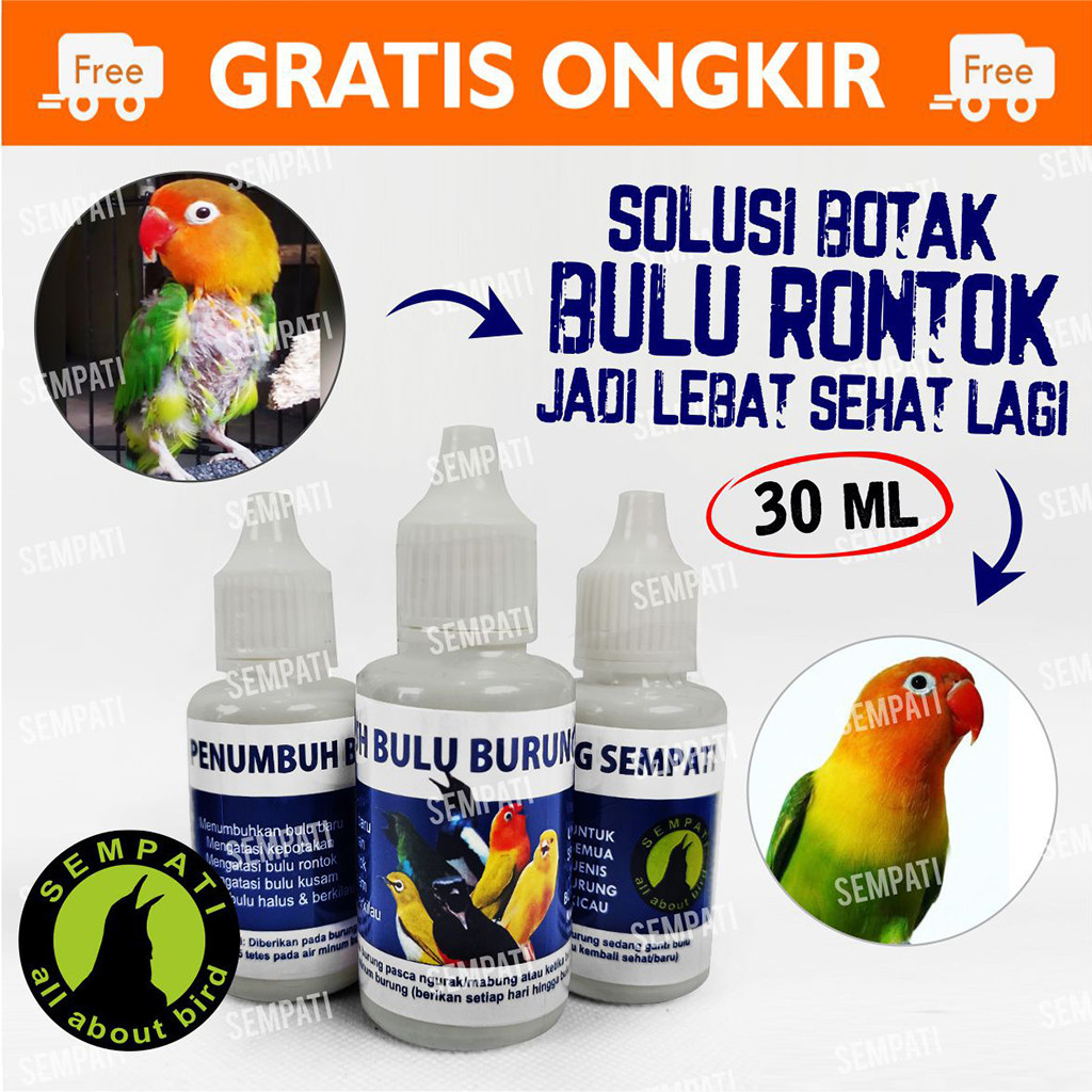 SEMPATI Obat Penumbuh Bulu Burung Sempati Obat Burung Bulu Rontok Patah Mabung Ngurak Moulting Lama 