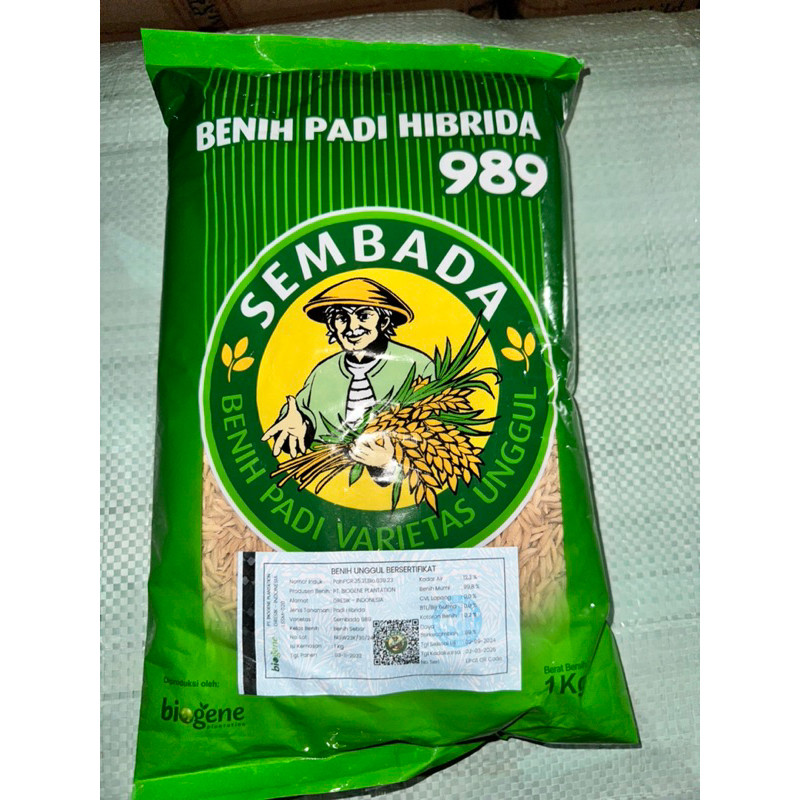 benih padi HIBRIDA SEMBADA 989 , 1kg