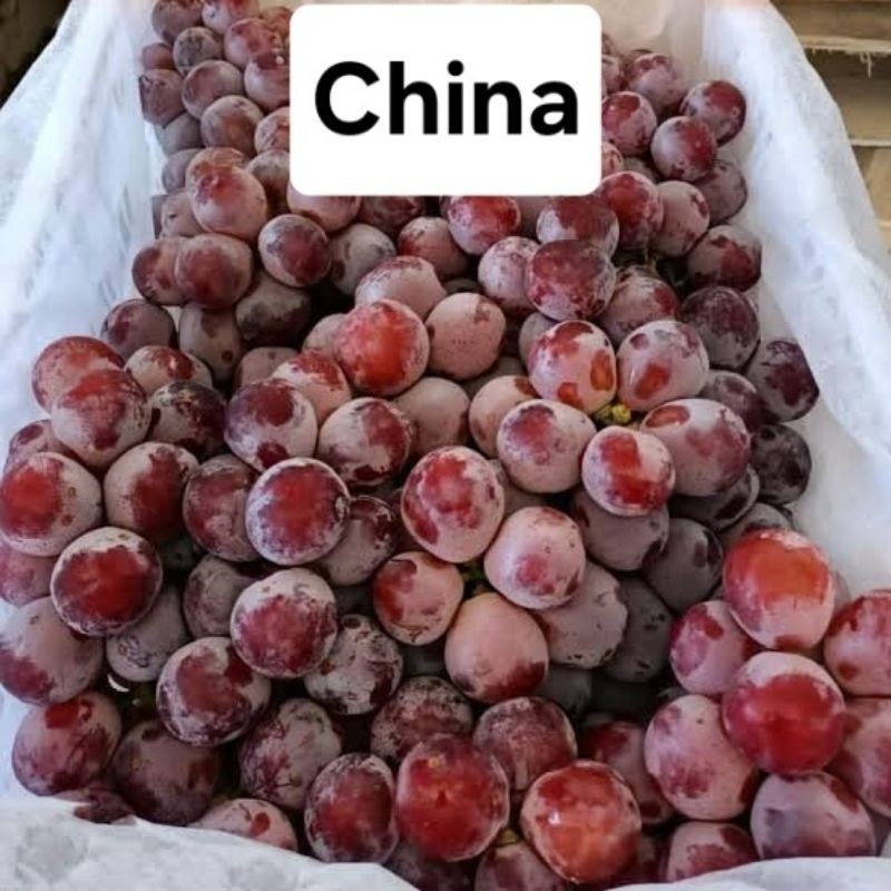 

UD BUAH 3 SAUDARA Buah Anggur Merah Manis [KHUSUS INSTAN DAN SAMEDAY]