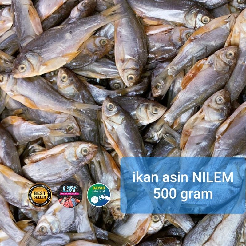 

TERMURAH ikan asin nilem buang perut 500gram