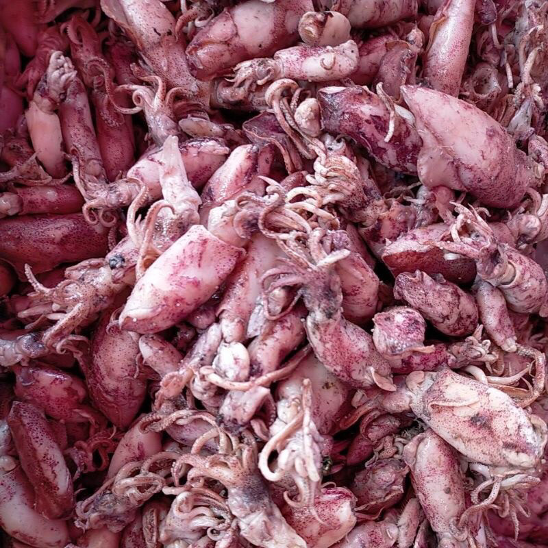 

Terlaris Ikan Asin Cumi Kering 100g Premium Tanpa Kimia