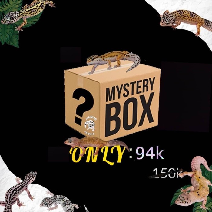 Mystery Box Leopard Gecko