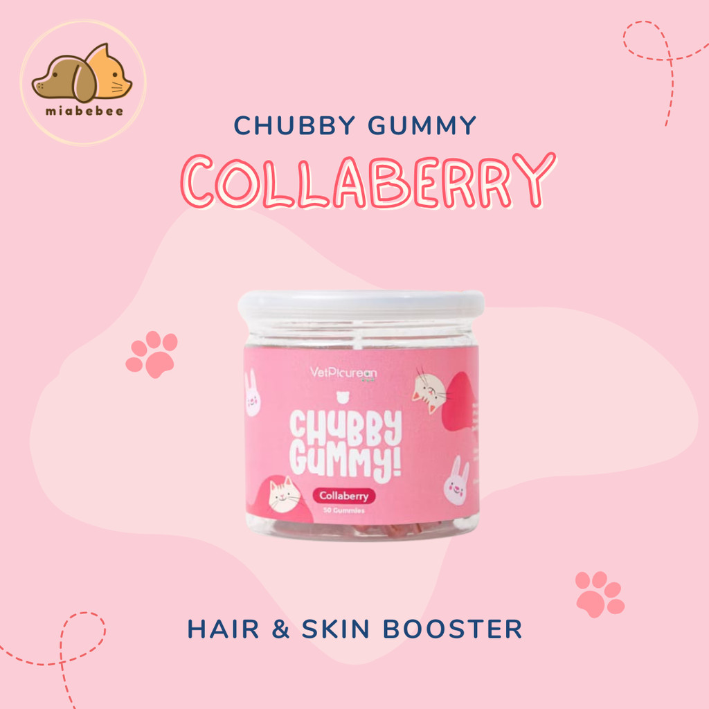 VetPicurean Chubby Gummy COLLABERRY - Vitamin Anjing Kucing