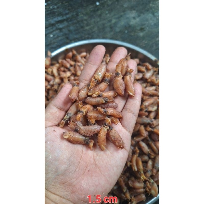 

Termurahbaby cumi premium size balita 2.5 cm & 3cmnew