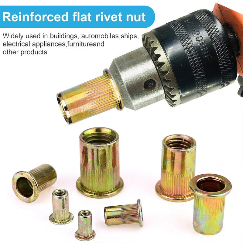 Rivet Nut Mur M6 100pcs/Nut Rivet/Mur Rivet Aluminium