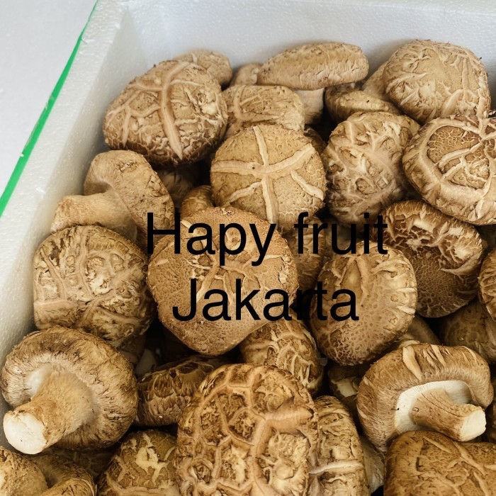 

Jamur shitake fresh tidak basah | shitake mushroom 1 kg