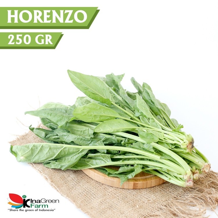 

Inagreen Farm Bandung Sayur Horenzo / Bayam Jepang Organik 250 Gram