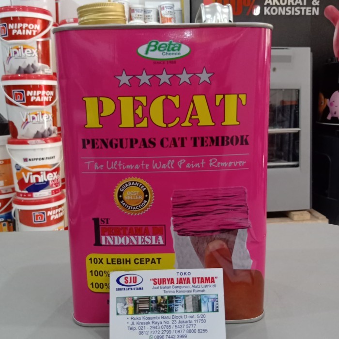 pecat (perontok cat tembok)