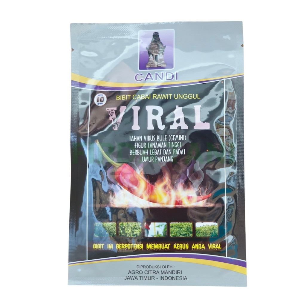 Bibit Cabe Rawit VIRAL Cap Candi 10gr – Hasil 0.6-0.7kg/Tanaman, Cocok Dataran Tinggi