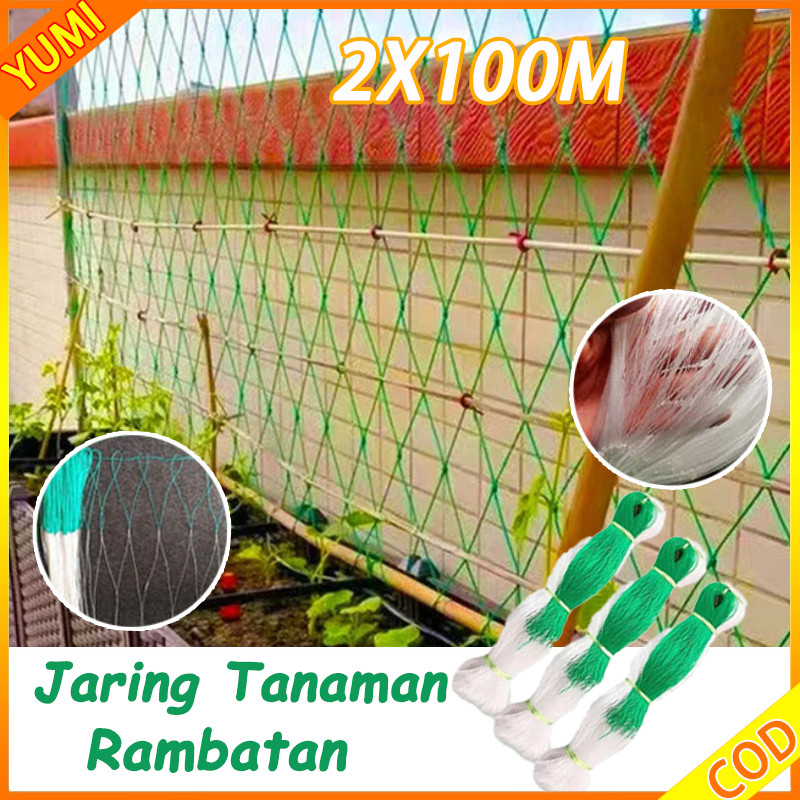 100M X 2M Jaring Tanaman Rambatan / Jaring Merambat Kuat Buah / Sayuran Plant Climbing Net