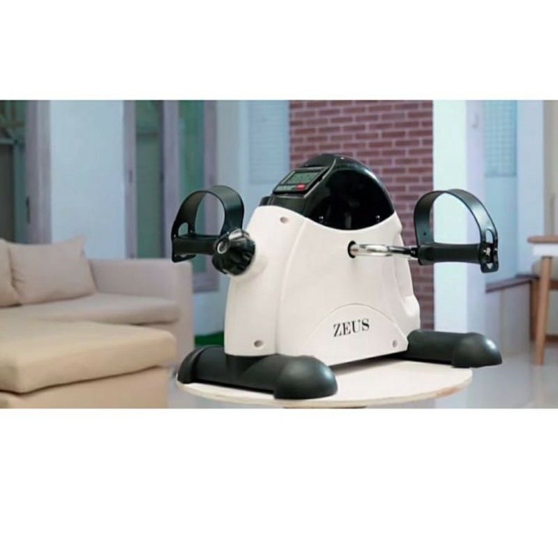 Zeus Mini Bike Exercise