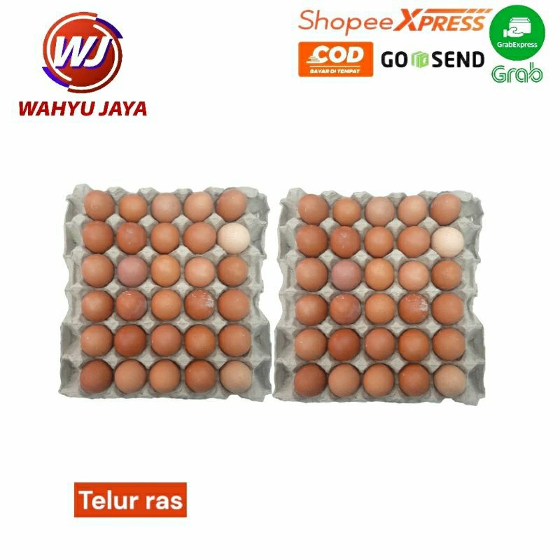 

telur ras tanggung