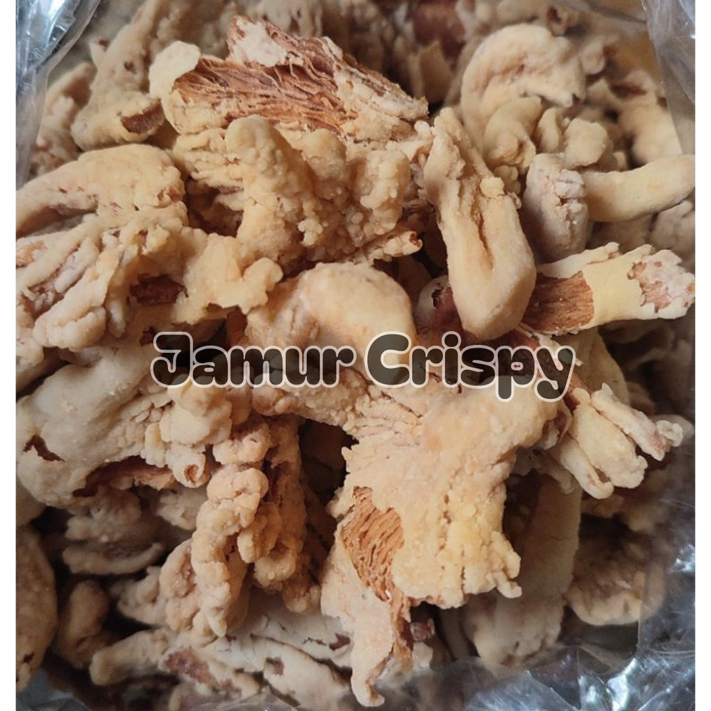 

PROMO jamur tiram crispy keripik jamur jamur crispy 1kg jamur krispi TERLARIS