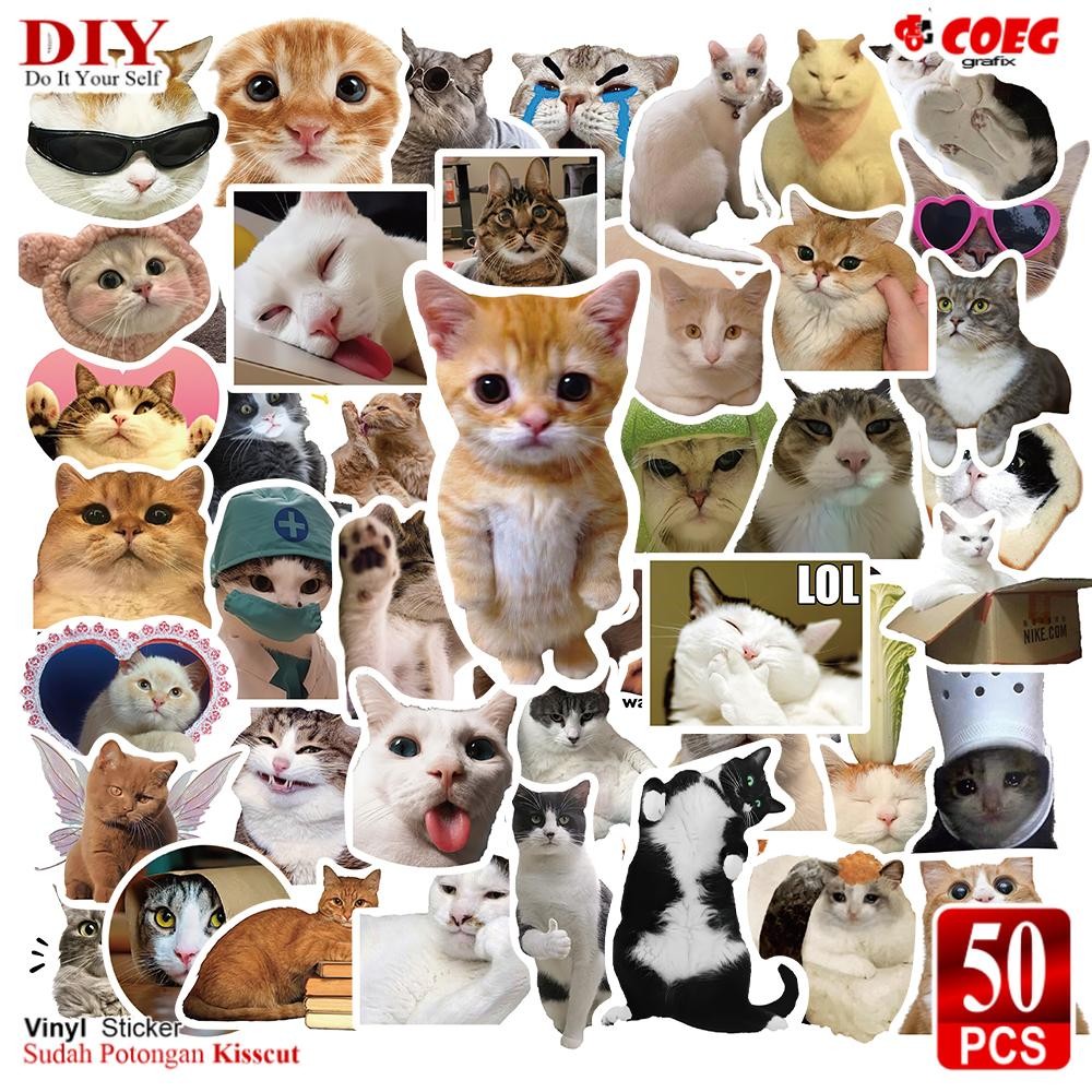 

50 PCS Stiker Kucing Lucu Vinyl Anti Air CG63 Buku Journal Koper Laptop Helm Motor Botol