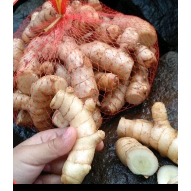 

TEMU PUTIH SEGAR{CURCUMA ZEDOARIA}Per 500 gram ready
