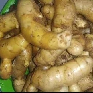 

solusi kesehatan alami dengan temu putih/kunyit putih 2 kg