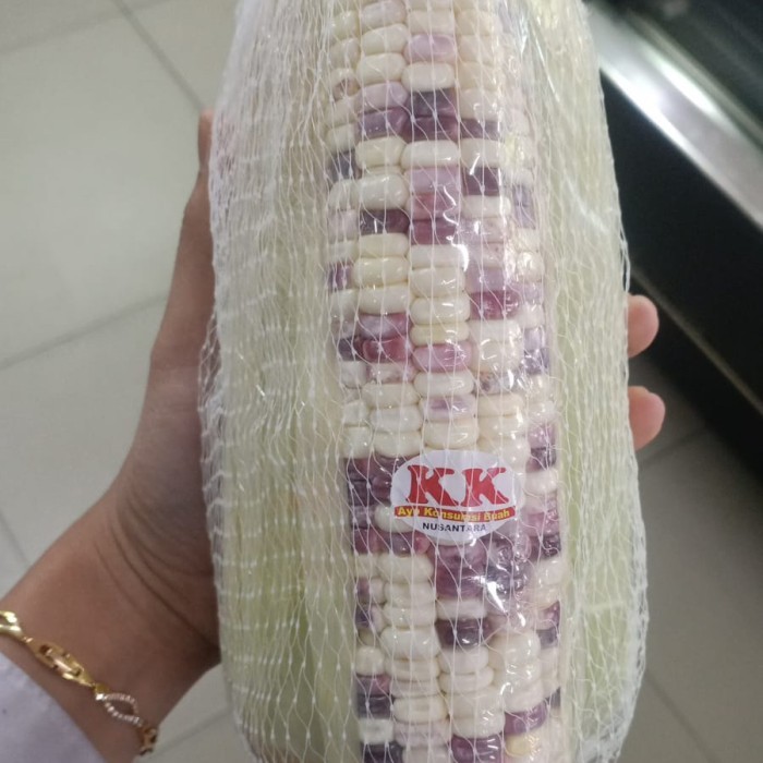 

NEW SALE!~ [Terlaris] Jagung Ketan Pelangi Isi 3 Pcs / Pack