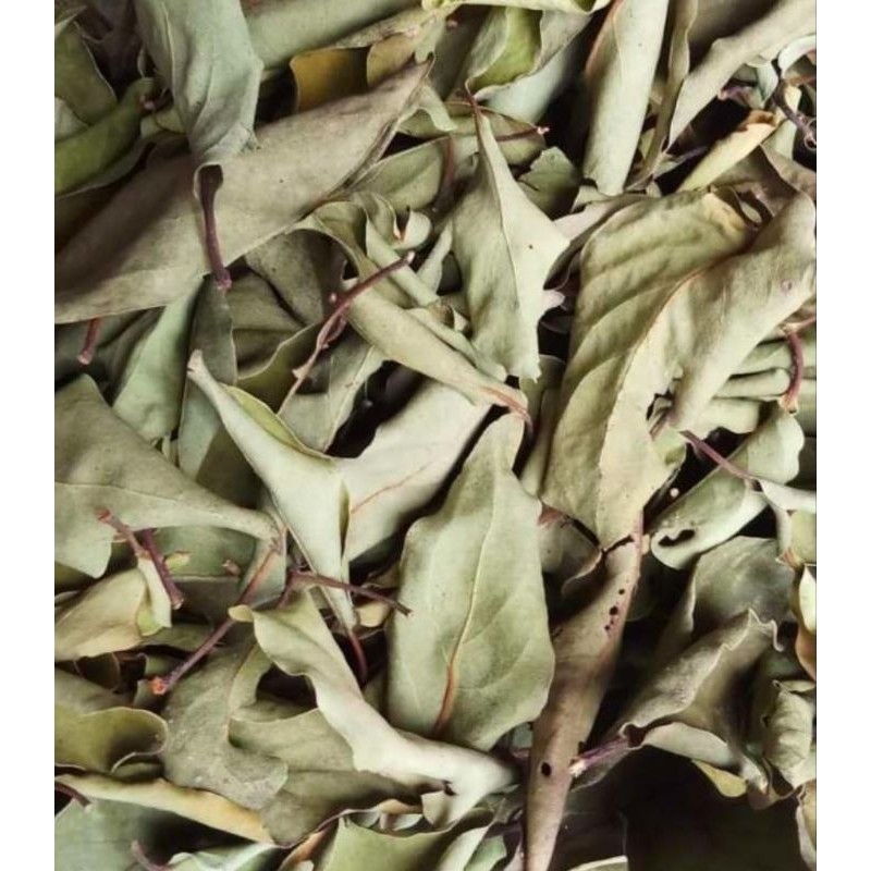 

daun benalu kopi kering 500gram