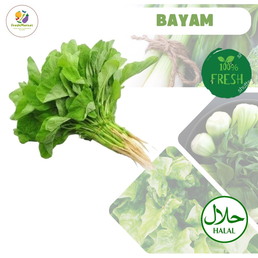 

Bayam Hijau Segar Sayur Sayuran 1 Ikat Sayurinstant