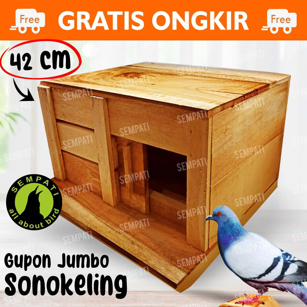 Ha SEMPATI KANDANG TONG GUPON PAGUPON BURUNG MERPATI DORO DARA KOLONGAN BALAP TOMPRANG SANGKAR